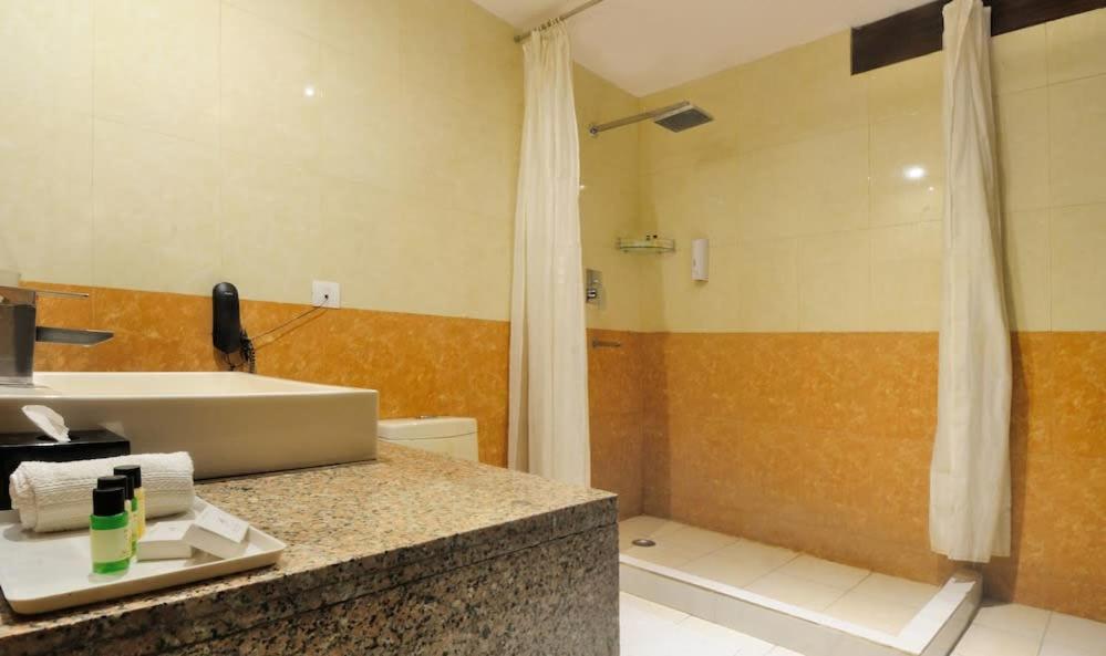 Zenith Hotel - Delhi Airport New Delhi Exterior foto